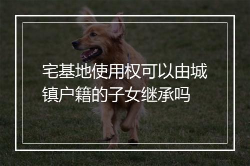 宅基地使用权可以由城镇户籍的子女继承吗