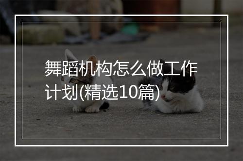 舞蹈机构怎么做工作计划(精选10篇)