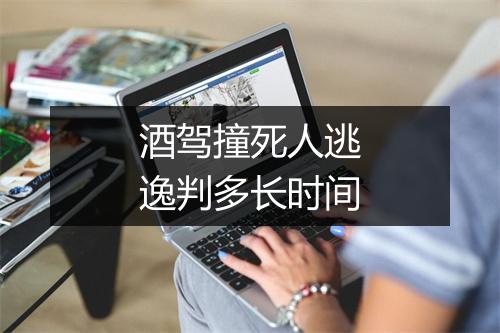 酒驾撞死人逃逸判多长时间