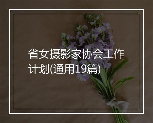 省女摄影家协会工作计划(通用19篇)