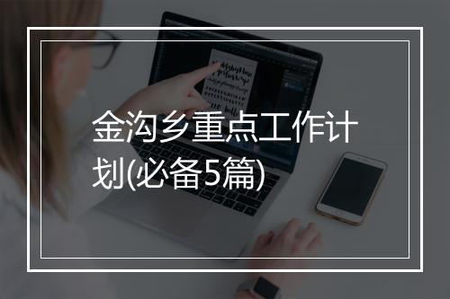 金沟乡重点工作计划(必备5篇)