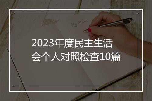 2023年度民主生活会个人对照检查10篇