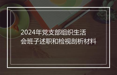 2024年党支部组织生活会班子述职和检视剖析材料