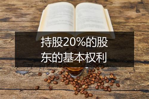 持股20%的股东的基本权利