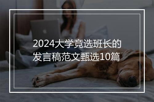 2024大学竞选班长的发言稿范文甄选10篇