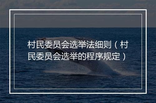 村民委员会选举法细则(村民委员会选举的程序规定)