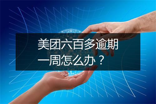 美团六百多逾期一周怎么办?