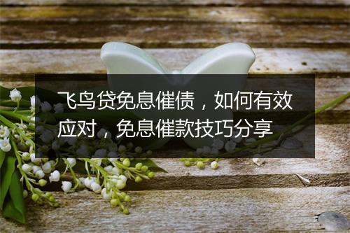 飞鸟贷免息催债,如何有效应对,免息催款技巧分享
