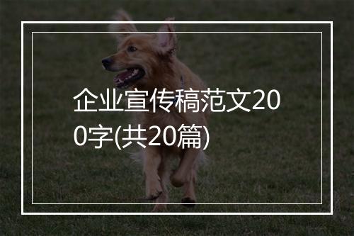企业宣传稿范文200字(共20篇)