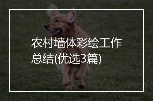 农村墙体彩绘工作总结(优选3篇)