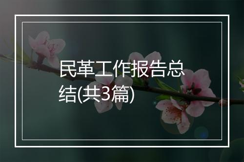 民革工作报告总结(共3篇)