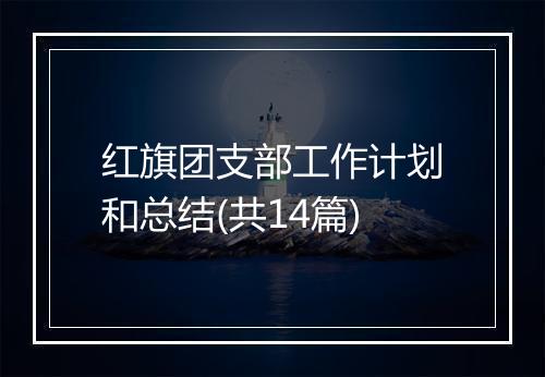 红旗团支部工作计划和总结(共14篇)