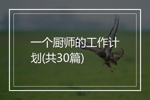 一个厨师的工作计划(共30篇)
