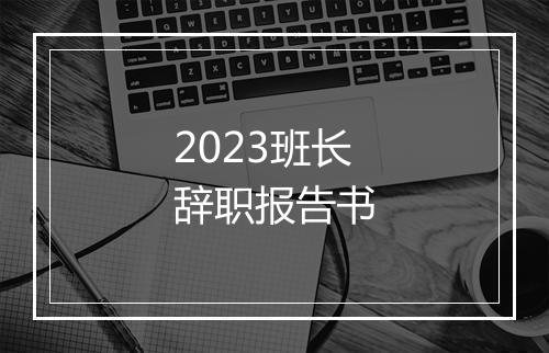 2023班长辞职报告书