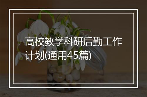 高校教学科研后勤工作计划(通用45篇)