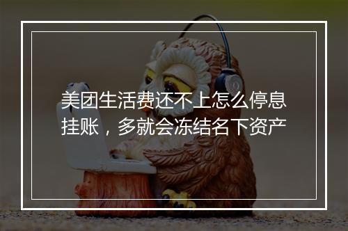 美团生活费还不上怎么停息挂账,多就会冻结名下资产