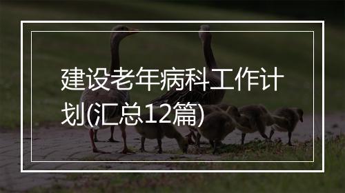建设老年病科工作计划(汇总12篇)