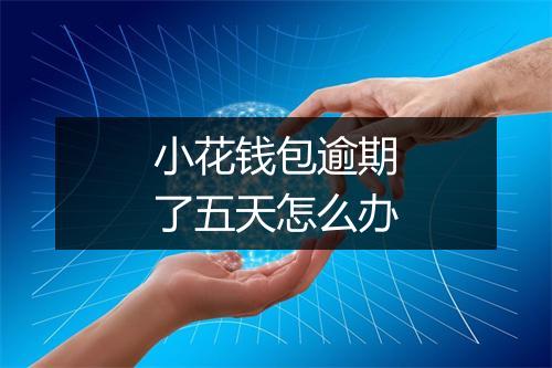 小花钱包逾期了五天怎么办