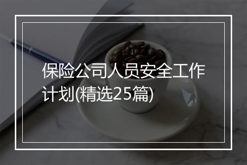 保险公司人员安全工作计划(精选25篇)
