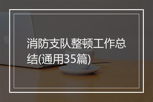 消防支队整顿工作总结(通用35篇)