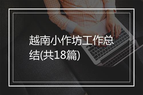 越南小作坊工作总结(共18篇)