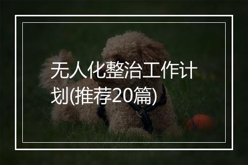 无人化整治工作计划(推荐20篇)