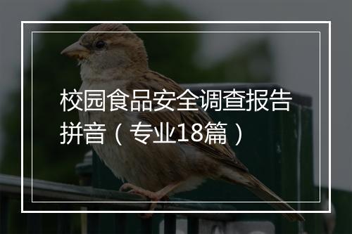 校园食品安全调查报告拼音(专业18篇)