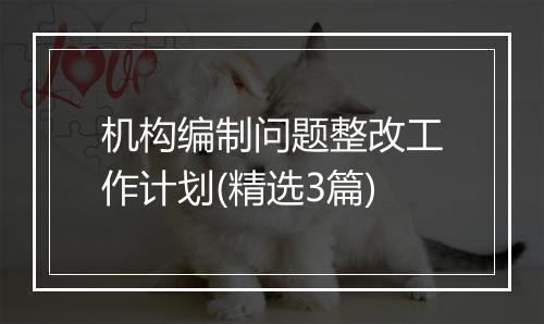 机构编制问题整改工作计划(精选3篇)
