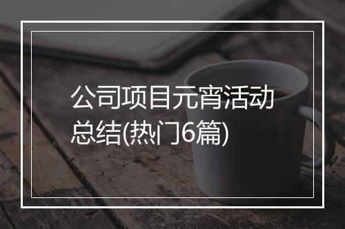 公司项目元宵活动总结(热门6篇)