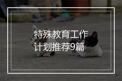 特殊教育工作计划推荐9篇