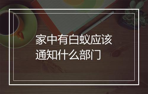 家中有白蚁应该通知什么部门