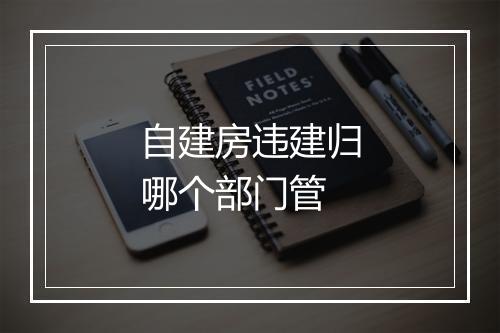 自建房违建归哪个部门管