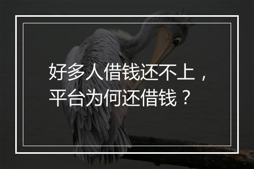 好多人借钱还不上,平台为何还借钱?