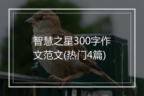 智慧之星300字作文范文(热门4篇)