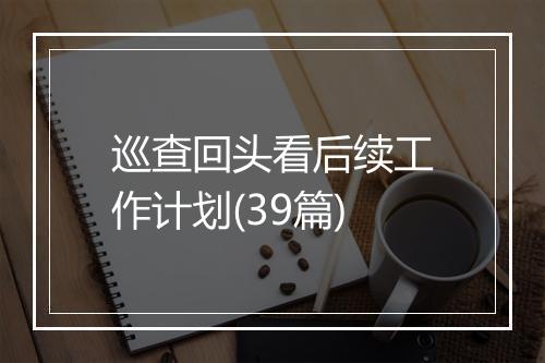 巡查回头看后续工作计划(39篇)