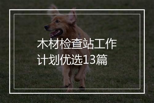 木材检查站工作计划优选13篇