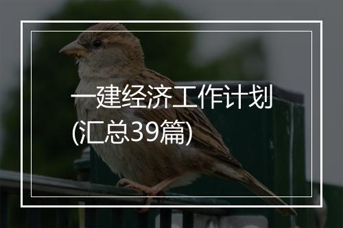 一建经济工作计划(汇总39篇)