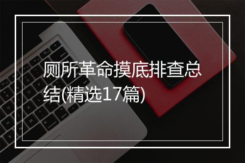 厕所革命摸底排查总结(精选17篇)