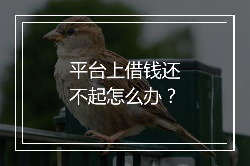 平台上借钱还不起怎么办?
