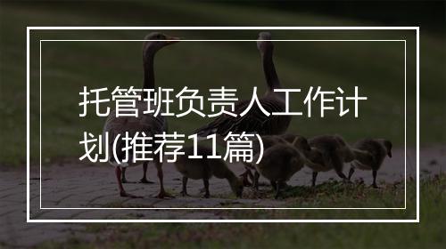 托管班负责人工作计划(推荐11篇)