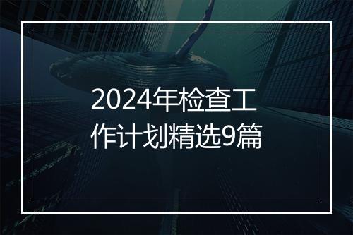 2024年检查工作计划精选9篇
