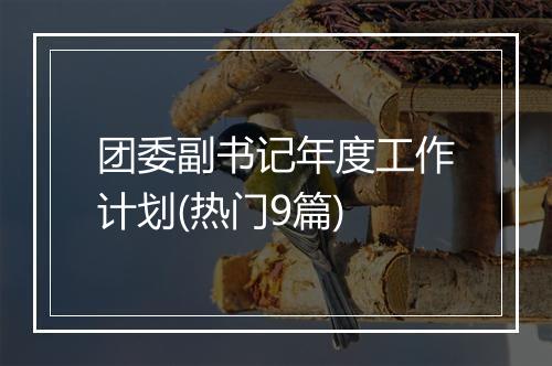 团委副书记年度工作计划(热门9篇)