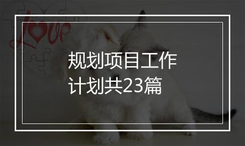 规划项目工作计划共23篇