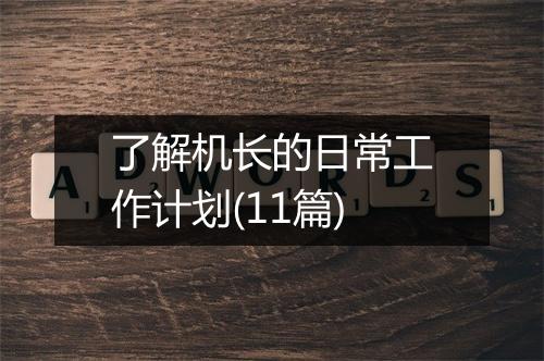 了解机长的日常工作计划(11篇)