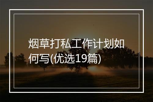 烟草打私工作计划如何写(优选19篇)
