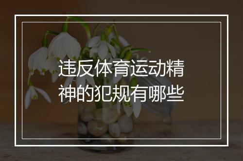违反体育运动精神的犯规有哪些