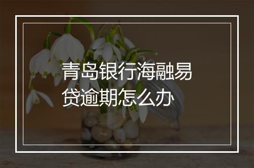 青岛银行海融易贷逾期怎么办