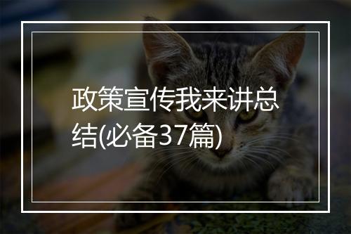 政策宣传我来讲总结(必备37篇)