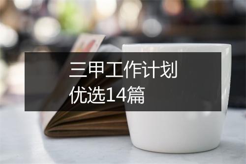 三甲工作计划优选14篇