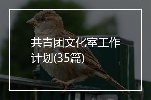 共青团文化室工作计划(35篇)